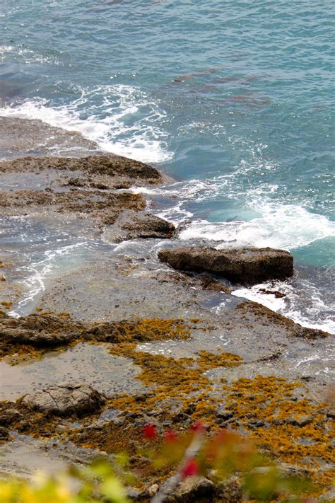 Treasure Island Tide Pools In Laguna Beach California California