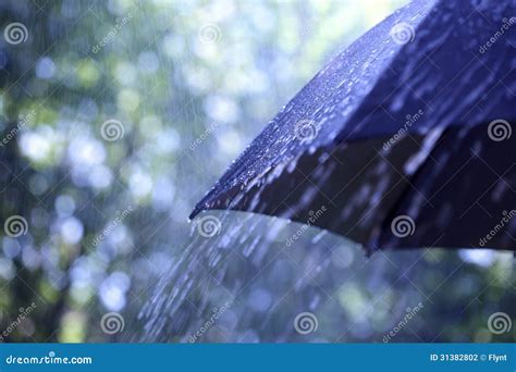 Rain On Umbrella Stock Photo Image Of Colour Rain Shower 31382802