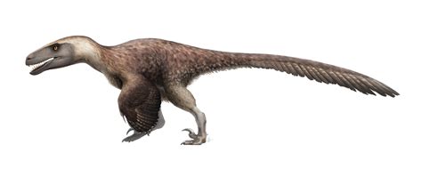 Utahraptor Wiki Prehistórico Fandom
