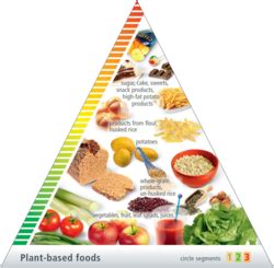 Here's the whole foods vegan food pyramid that easily shows you how to meet all of your nutrients on a vegan diet, including critical nutrients, while taking normal energy needs into account and making. About the German Nutrition Society (DGE) - DGE