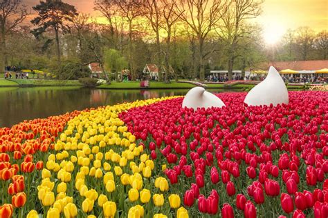 Visitar Lisse • Holanda Amsterdam em 2022