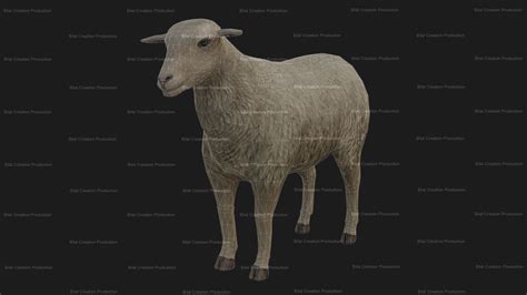 Sheep Animated 3d Model Animated Rigged Cgtrader