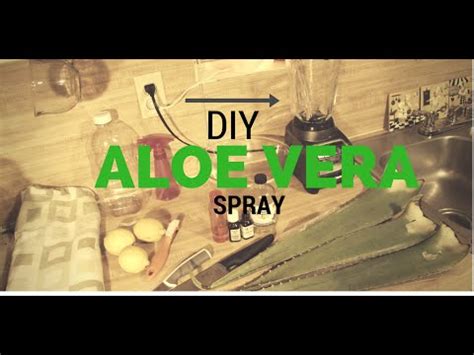Lihat cara sheila membuatnya di video ini! Making Fresh Aloe Vera Refresher Spray :DIY - YouTube