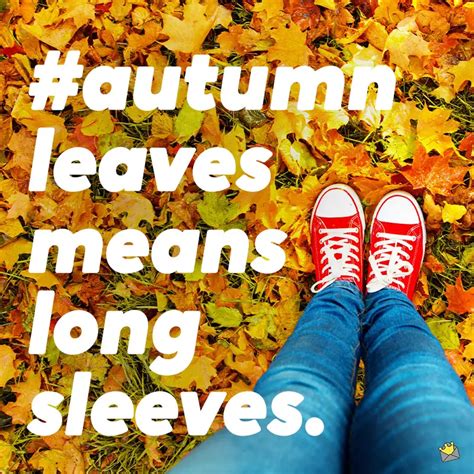 90 Fall Captions For Instagram Autumn Leaves Are Brown
