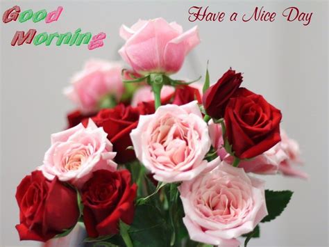 Check spelling or type a new query. Good-Morning-Have-A-Nice-Day.jpg (1024×768) | Good morning ...