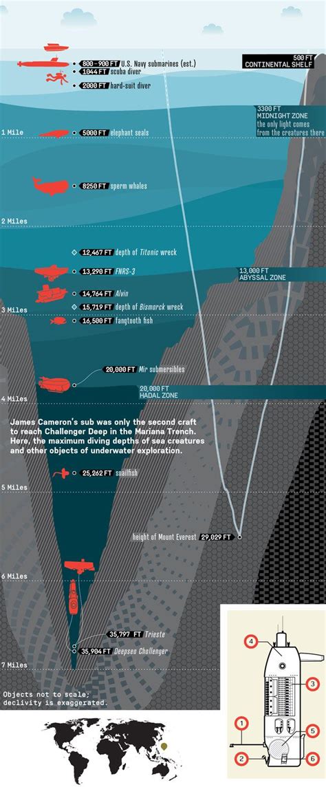 Марианская впадина, или Марианский жёлоб | Diving, Earth science ...