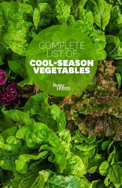 Extend Your Gardens Harvest With These Cool Season Vegetables