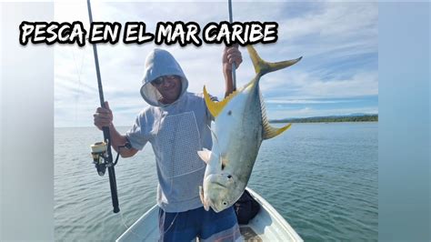 Pesca De Jurelesgreen Jackmacarelas Y Mas En El Caribe De Costa Rica