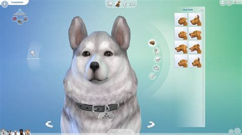 The Sims 4 Cats Dogs Complete List Of Pet Breeds 170