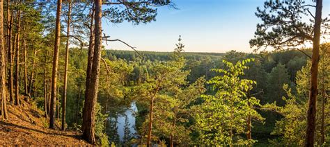 Forest Landscape With River And Rocky Coast Russia Ural Stock Image