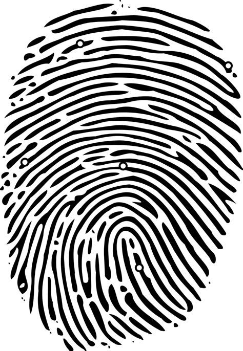 Fingerprint Computer Icons Loop Vector Png Download 10241484