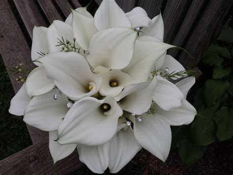 Stunning All White Mini Calla Lily Bouquet Created By Floribunda