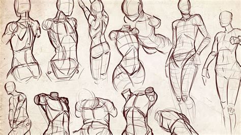 Female Body Figure Drawing ~ Drawing Figure Body Fashion Upper Female