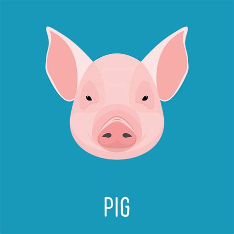 Female Pig Cartoons Stock Photos Pictures And Royalty Free Images Istock