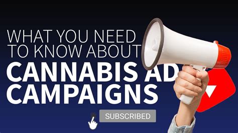 What You Need To Know About Facebook Ad Campaigns For Cannabis Products