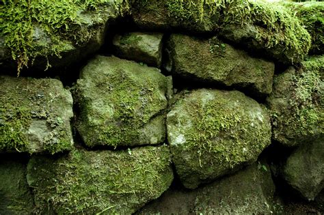 Mossy Rocks Free Photo Download Freeimages