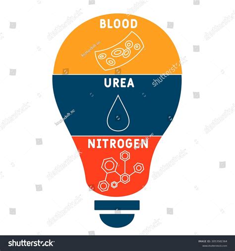 Bun Blood Urea Nitrogen Acronym Medical Stock Vector Royalty Free