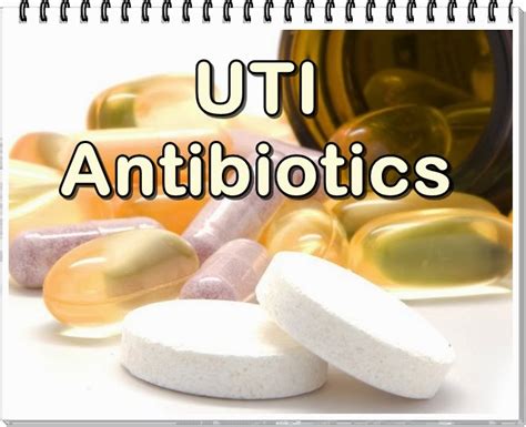 4 Common And Top Antibiotics For Uti Urinary Tract Infection