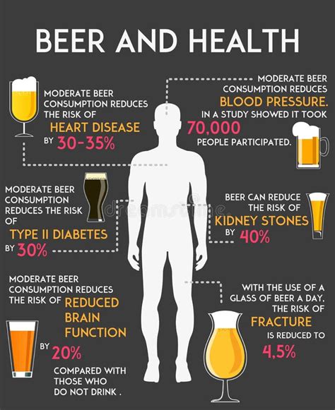 Drinking Alcohol Influence Your Body And Health Infographics Vector