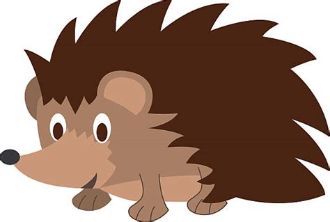 Hedgehog Clip Art Vector Images And Illustrations Istock