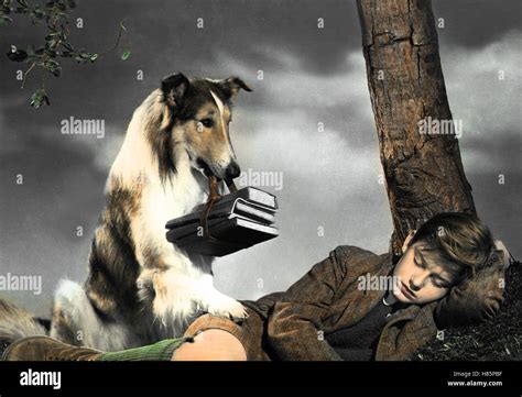 Lassie Home 1943 Hi Res Stock Photography And Images Alamy