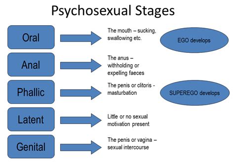 Dev Tby Freud Phychosexual Sigmund Theory
