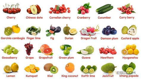 100 Most Popular Fruits In The World Learn Names Of Different Types Of Fruits In English