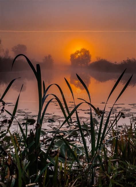 Amazingly Beautiful Sunrise Over Lake Foggy Stock Photo Image Of