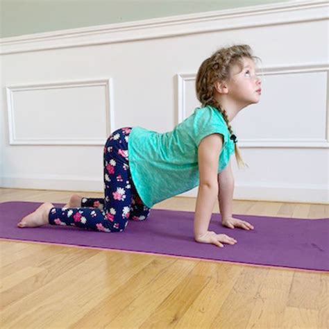Einzigartig Cat Cow Pose Girl Yoga X Poses