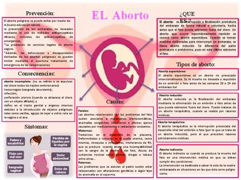 Mapa Conceptual Del Aborto Delimar Montoya Pdf Aborto El Embarazo