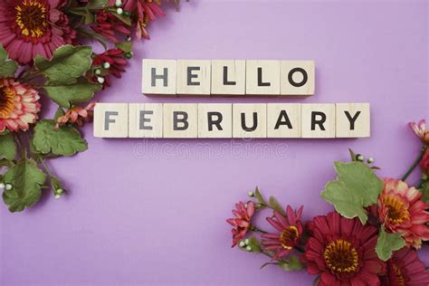 Hello February Alphabet Letter With Space Copy On Pink Background Stock