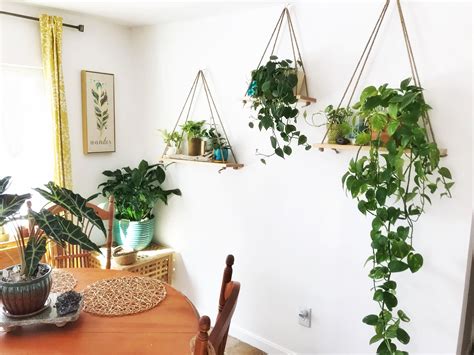 Hanging Maple Plant Shelf Hanging Plant Shelf Wall Shelf Hanging