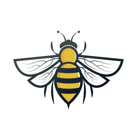 Download Honey Bee Illustrations, Royalty-Free Vector Graphics & Clip Art - iStock