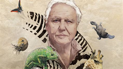 Rt David Attenboroughs Natural Curiosities Edens Competitions