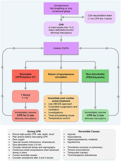 Guidelines Paediatric Advanced Life Support Resuscitation Council Uk