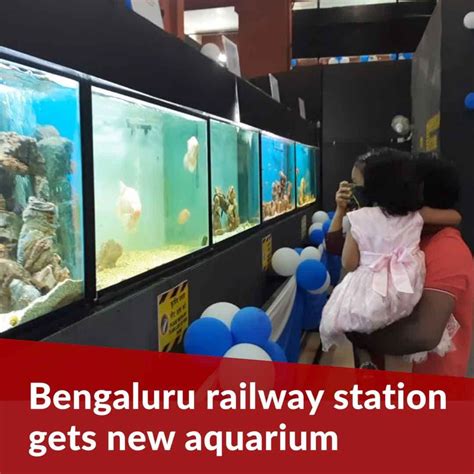 Bengaluru‘s Ksr Railway Station Gets First Of Its Kind Tunnel Aquarium