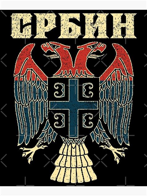 Serbia Coat Of Arms Flag Eagle Serbian Cyrillic Poster For Sale By