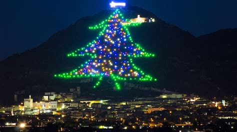 El árbol De Navidad Más Grande Del Mundo Se Ilumina En Italia La Verdad Noticias