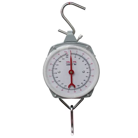 Hanging Scales 100kg 220lbs Capacity Fishing Hunting Scale Alloy
