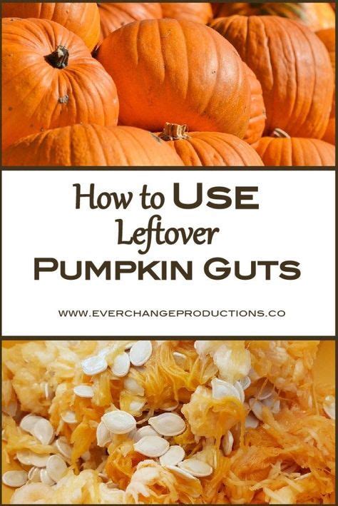 Dont Throw Out The Leftover Pumpkin Guts Check Out These Ways To Use