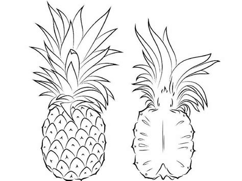 Printable Pineapple Coloring Pages Pdf Coloringfolder Pineapple