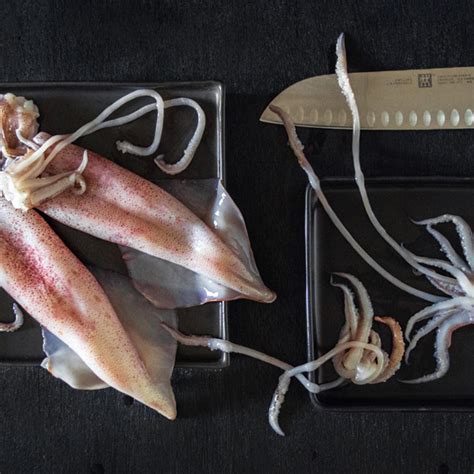 Calamari helps you in leave management and tracking attendance. Le Bavette ai calamaretti e seppioline di Daniele Zazzeri