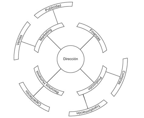 Organigrama Circular Que Es Y Sus Características Ejemplos