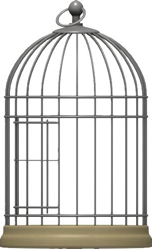 Cage Bird Png Transparent Image Download Size 307x504px