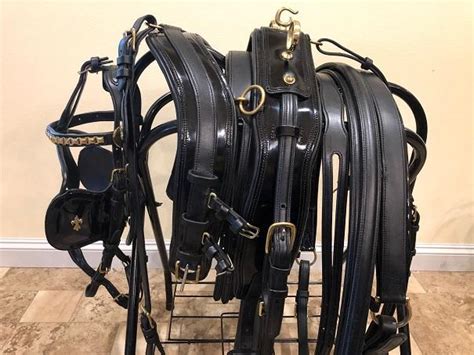 In Stock Horse Harness Ivc Carriage Tagged Harness