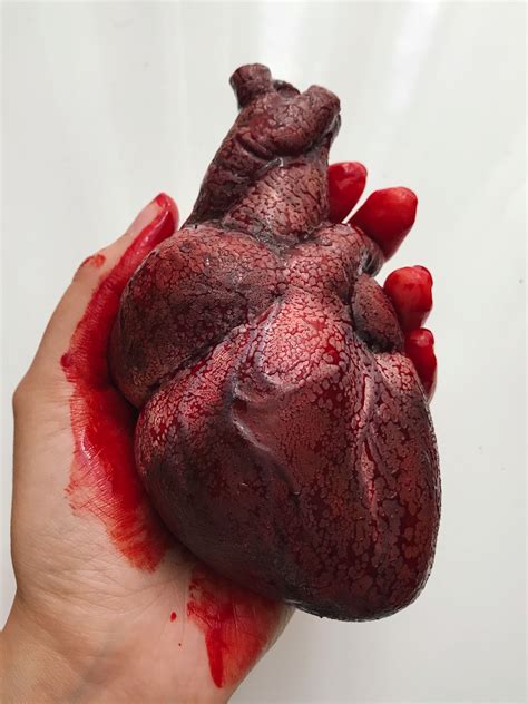 Realistic Human Heart Life Size , Anatomical Human Heart Silicone ...