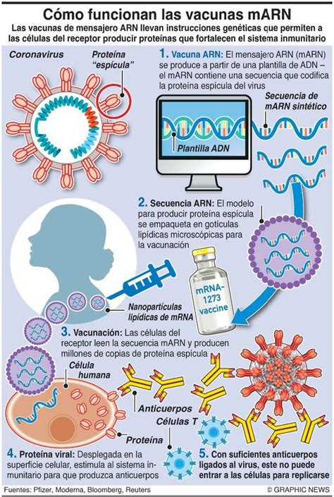 Los equipos de las tres vacunas experimentales han proclamado eficacias de entre el 90% y el la vacuna experimental de pfizer y biontech ha sido la primera en ofrecer una cifra de eficacia. La vacuna de Moderna, con eficacia de 94.5 por ciento ...