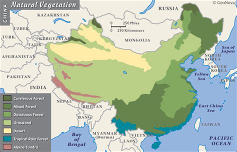 Hot, wet, and home to millions. Geography and Environment - China
