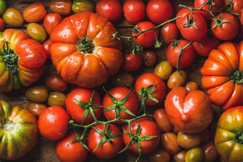 Varieties Of Tomatoes A List Of The Most Common Types