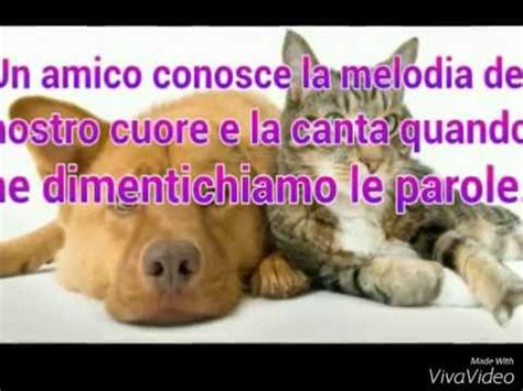 Si aiutano gli amici che hanno problemi. |Frasi belle sull'amicizia| #1 - YouTube